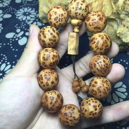 精品太行崖柏爆滿瘤疤長成這樣