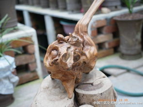 精品自然風化崖柏動物擺件