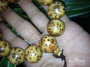 地盤玩崖柏手串的正確方法