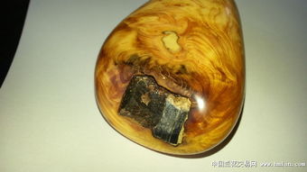 上拍一個精品崖柏把件 石來運轉