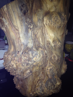 崖柏鑒別指南 如何辨別太行的崖柏