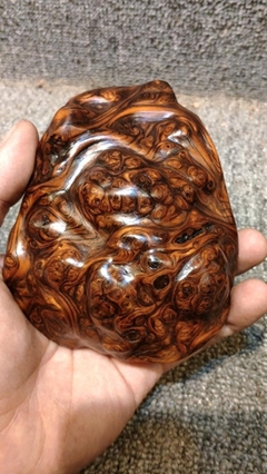 崖柏的珍貴性 揭示6種只有專業(yè)玩家才能欣賞的崖柏