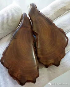 如何判定崖柏是否屬于精品 從紋理、香味到藝術(shù)價值的綜合指南