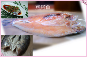 【海鱔魚】海鱔魚價格/圖片_海鱔魚批發/采購_海鱔魚廠家/供應商